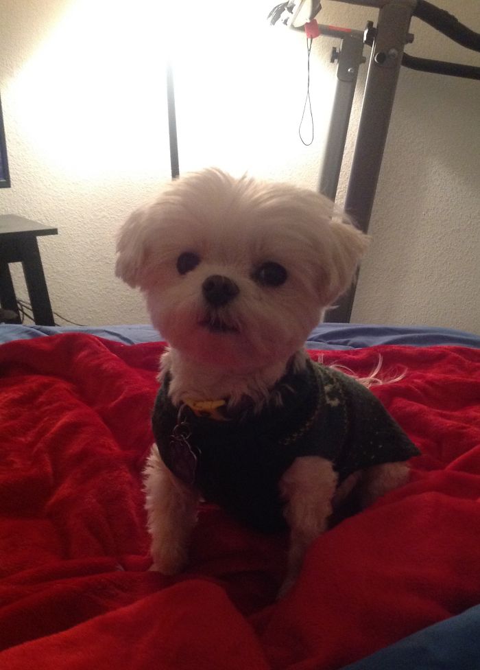 Before And After "you're A Good Boy".