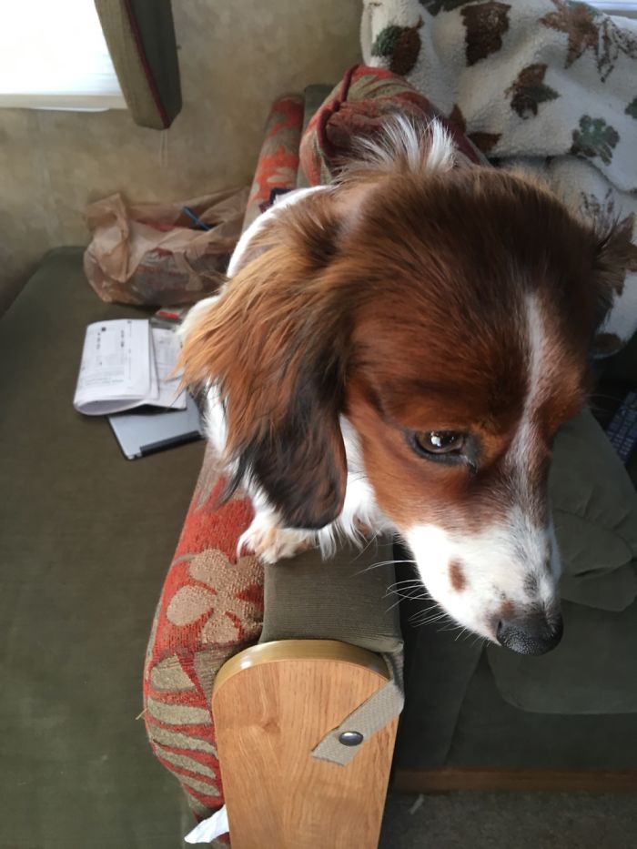 Before Being Called A Good Girl