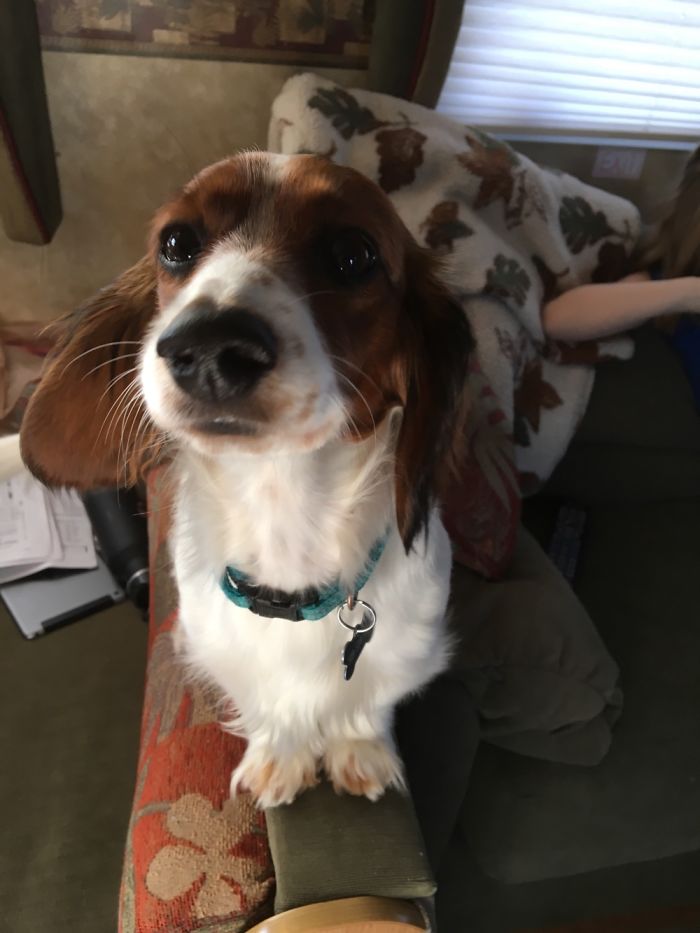 After Being Called A Good Girl