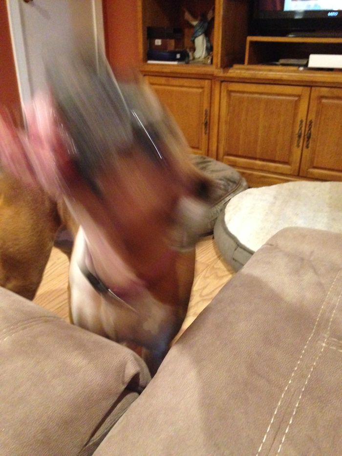 Jenny Before And After Being Told She's A Good Girl