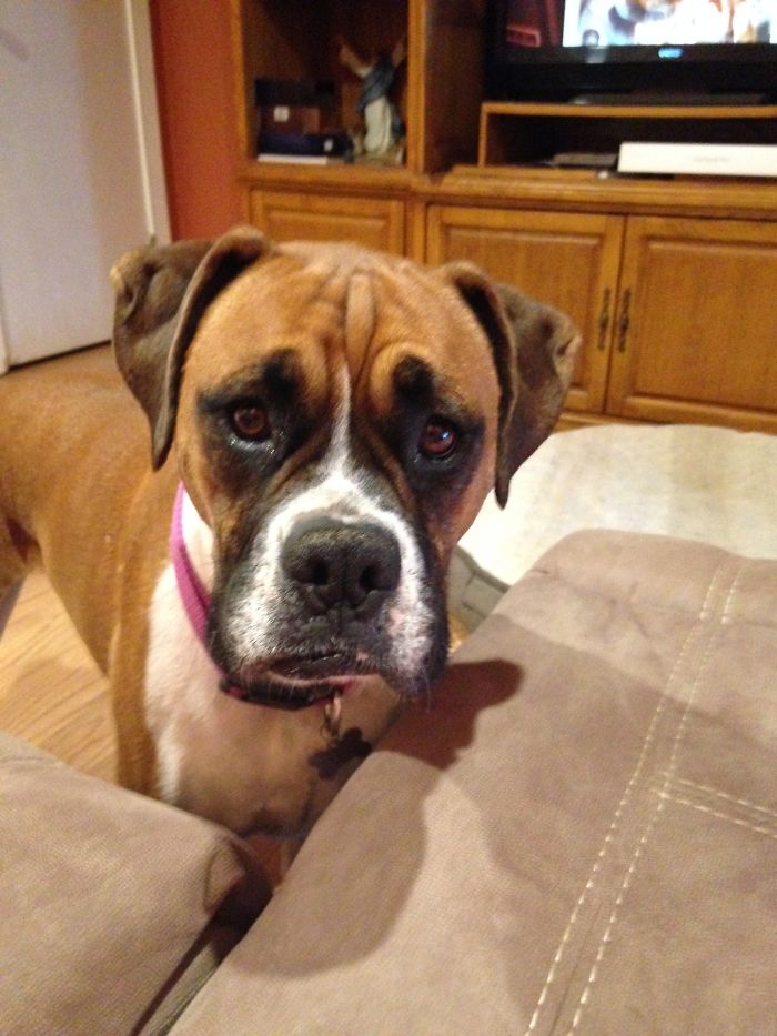 Jenny Before And After Being Told She's A Good Girl