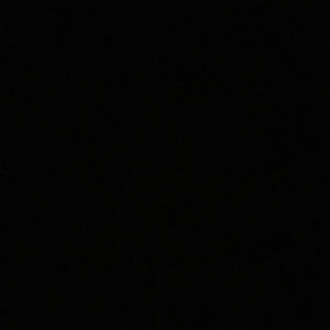 pallavijonnalagadda avatar