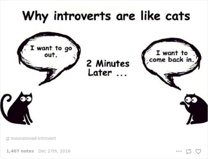 Introvert Problems