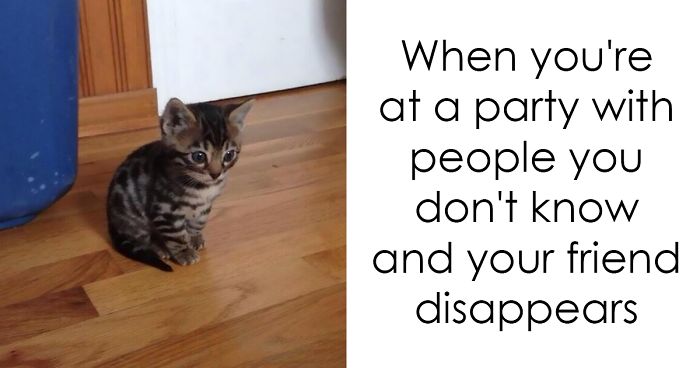101 Introvert Problems That Hilariously Capture The Life Of An Introvert