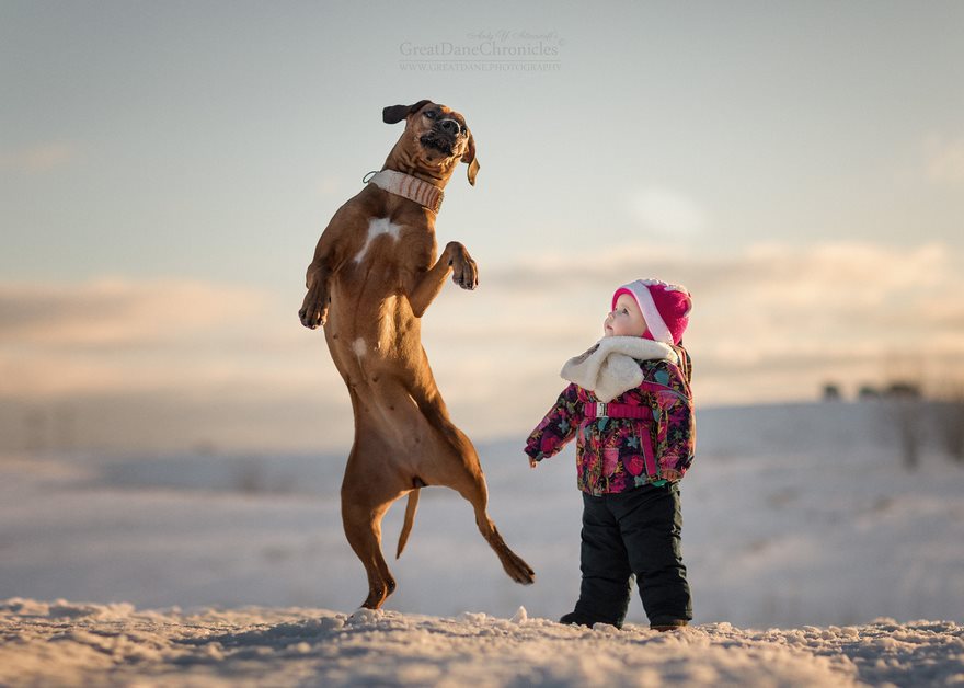 Little Kids And Their Big Dogs