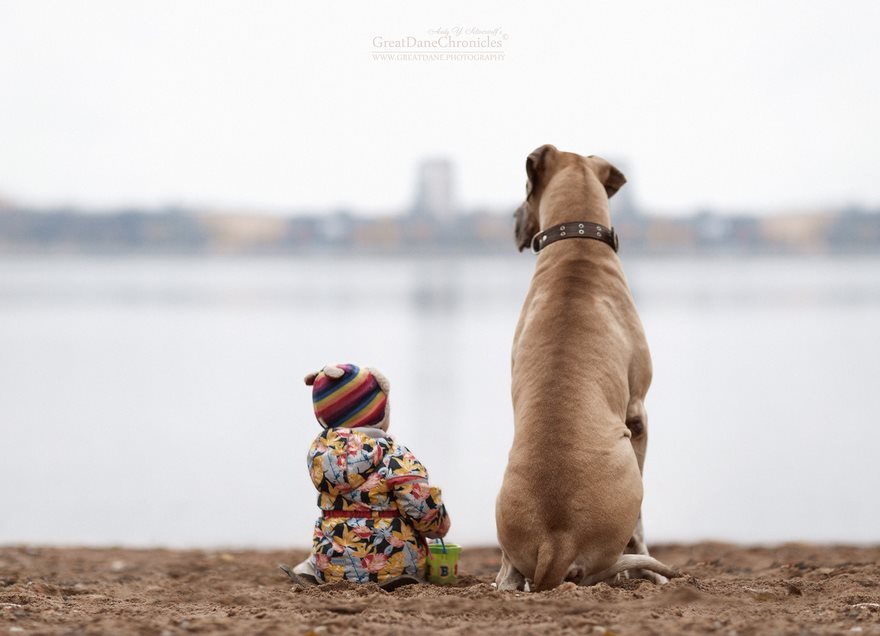 Little Kids And Their Big Dogs