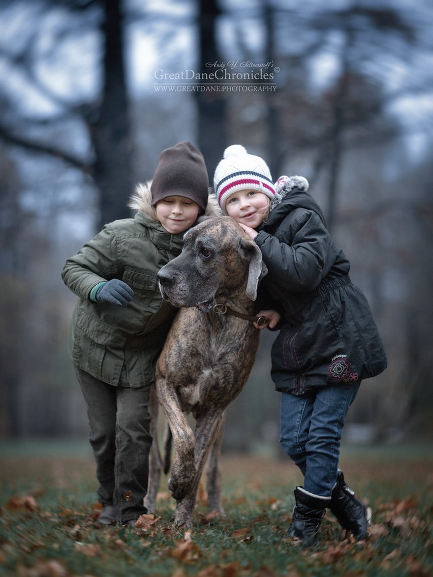Little Kids And Their Big Dogs