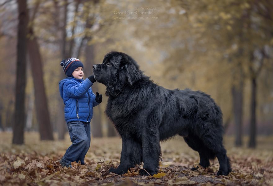 Little Kids And Their Big Dogs