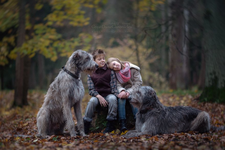 Little Kids And Their Big Dogs