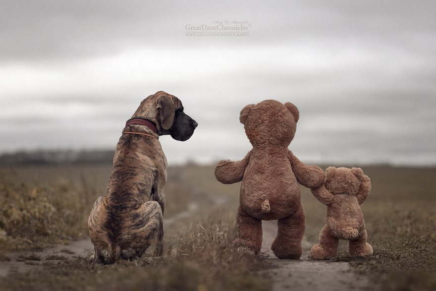 Little Kids And Their Big Dogs