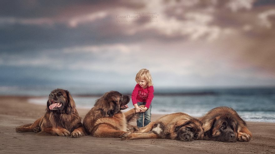 Little Kids And Their Big Dogs