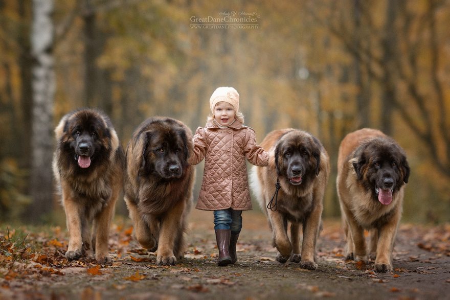 Little Kids And Their Big Dogs