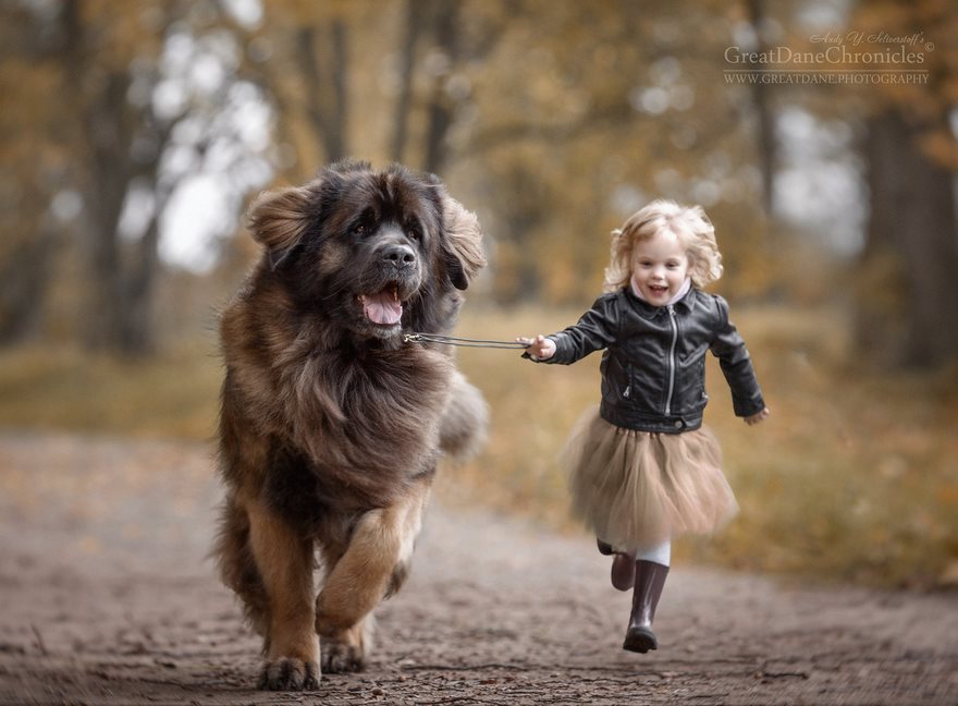 Little Kids And Their Big Dogs