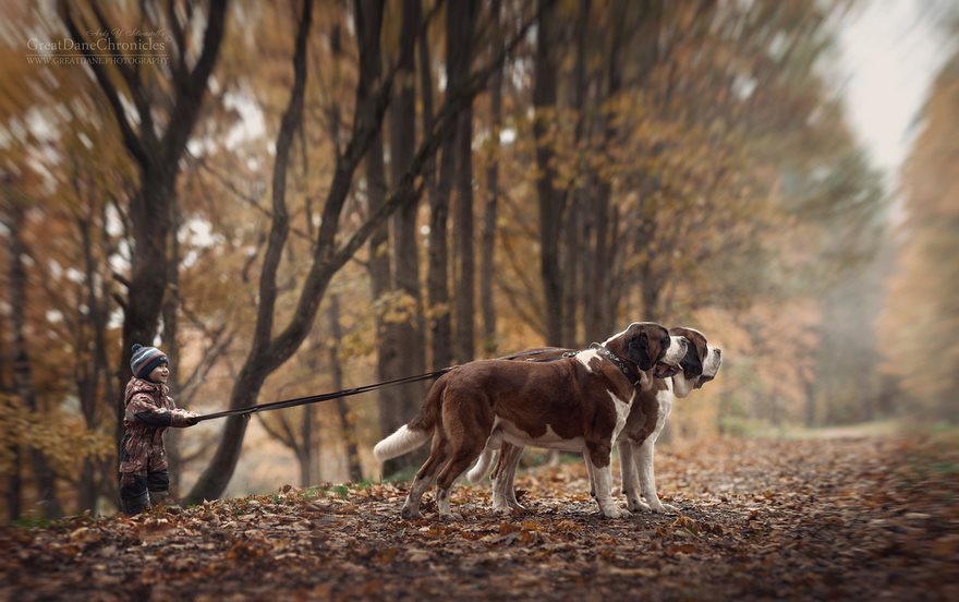 Little Kids And Their Big Dogs