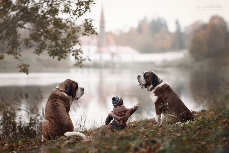 Little Kids And Their Big Dogs