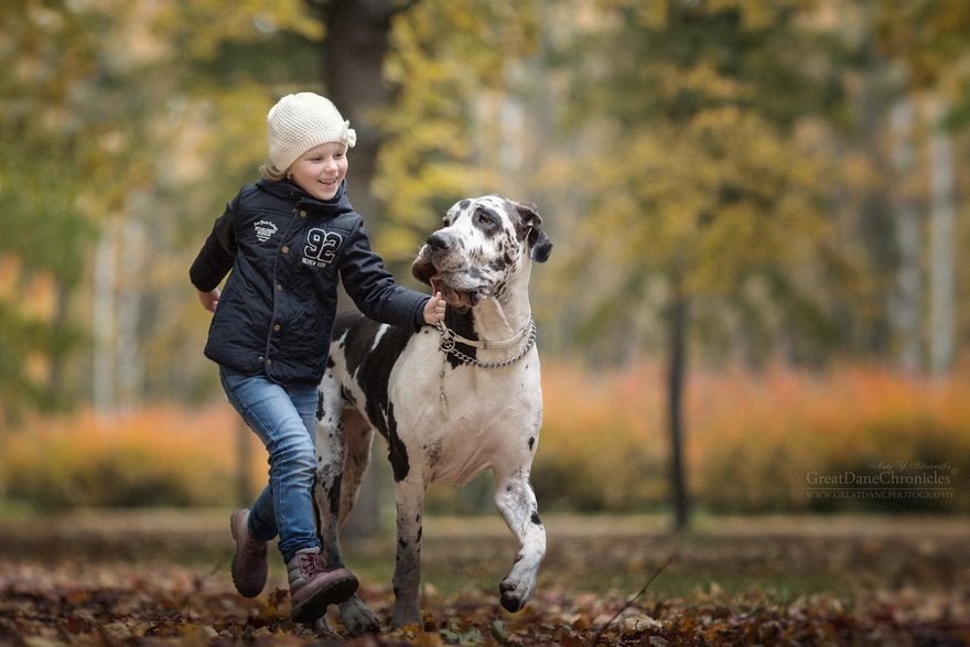 Little Kids And Their Big Dogs