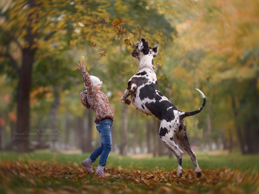 Little Kids And Their Big Dogs