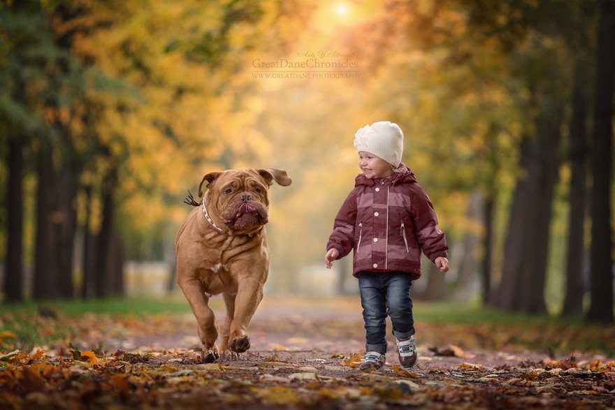 Little Kids And Their Big Dogs
