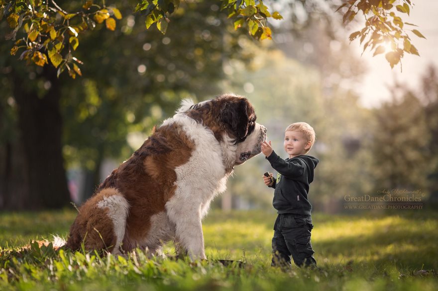 Little Kids And Their Big Dogs