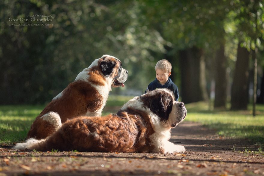 Little Kids And Their Big Dogs