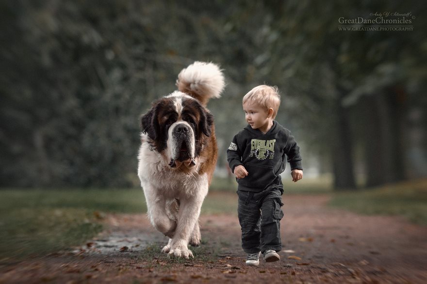 Little Kids And Their Big Dogs