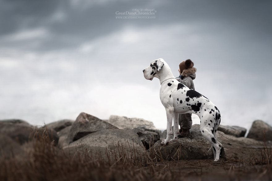 Little Kids And Their Big Dogs