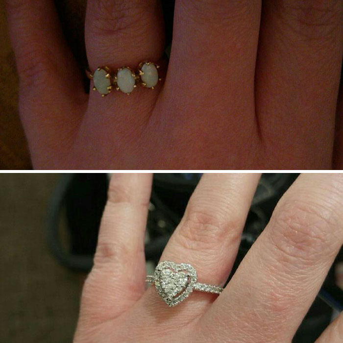 man-proposes-girlfriend-tiny-rescue-cat-1