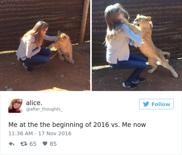 Me At The Beginning Of 2016 Vs Me At The End Of 2016