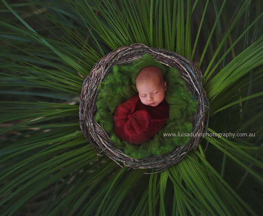 Newborn Baby Christmas Photoshoot