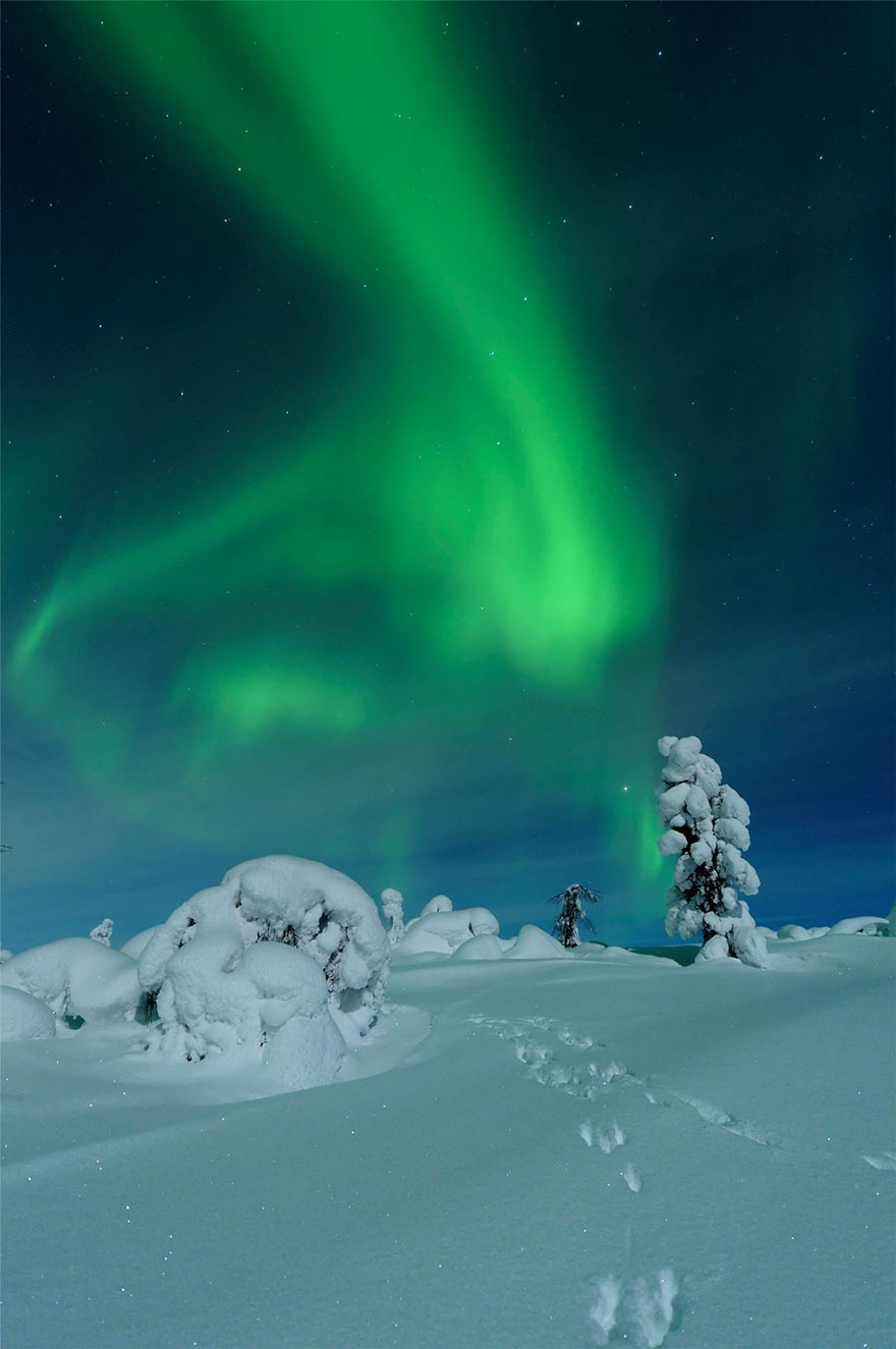 Finnish Lapland Winter Photography