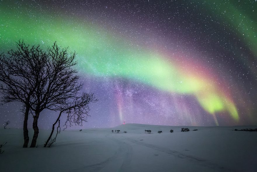 Finnish Lapland Winter Photography