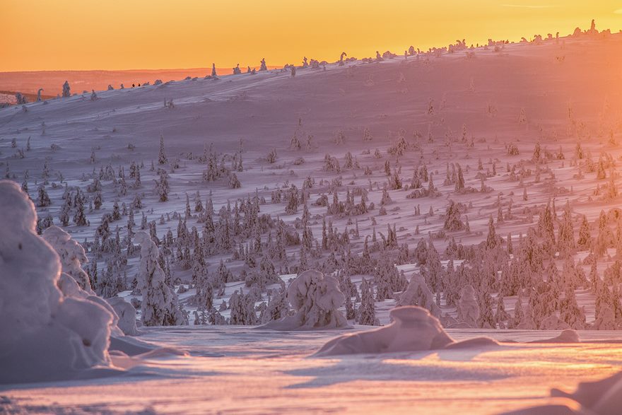 Finnish Lapland Winter Photography
