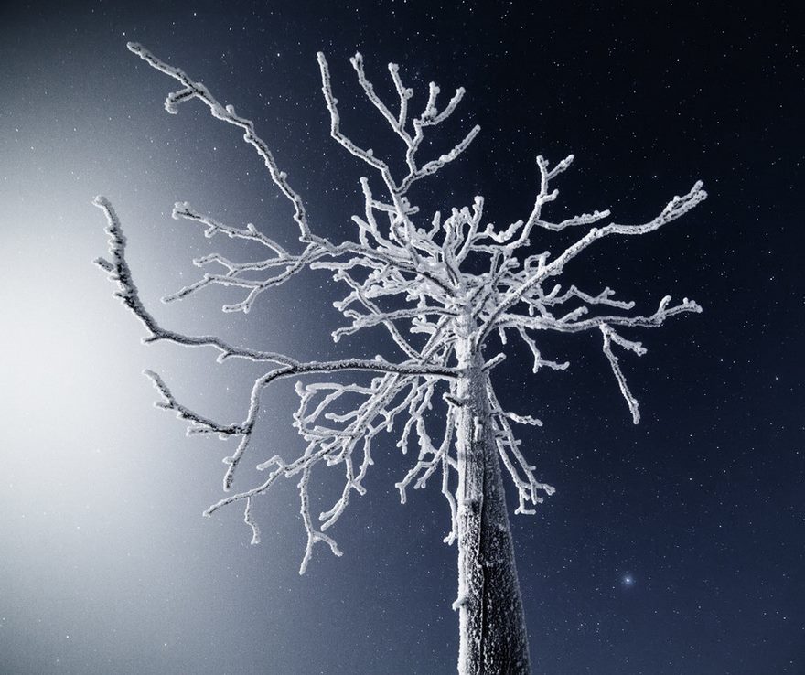 Finnish Lapland Winter Photography