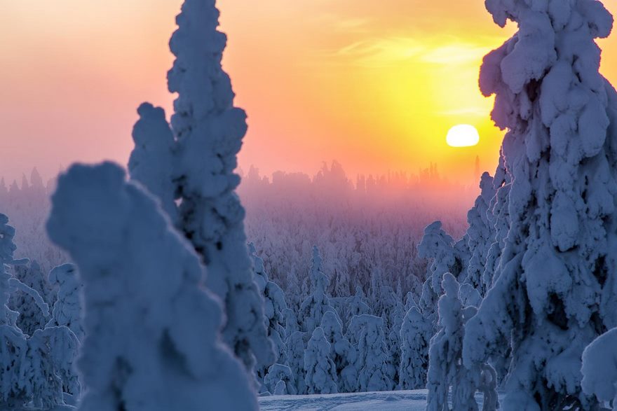 Finnish Lapland Winter Photography
