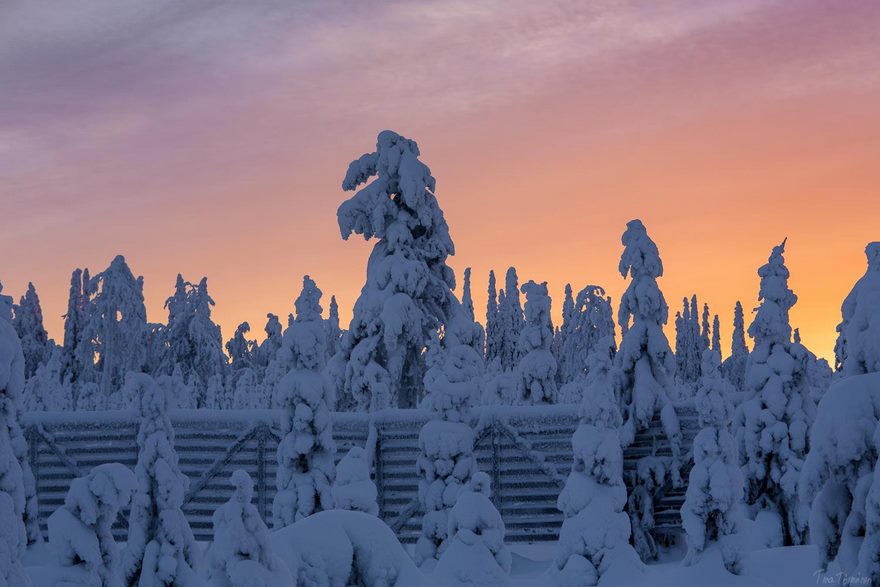 Finnish Lapland Winter Photography