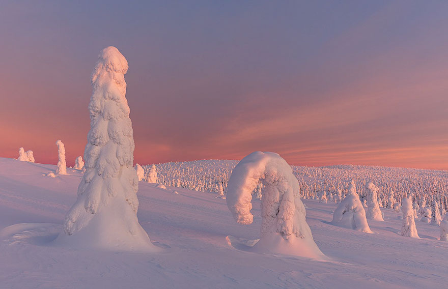 Finnish Lapland Winter Photography