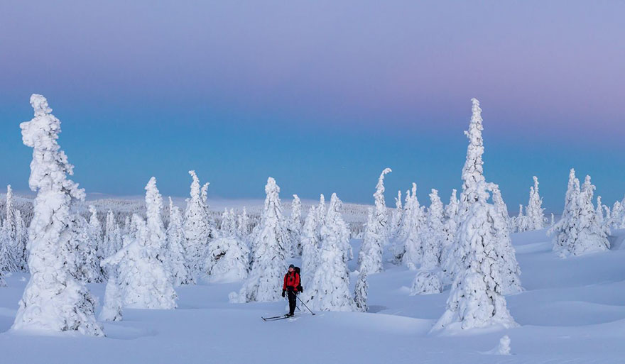 Finnish Lapland Winter Photography