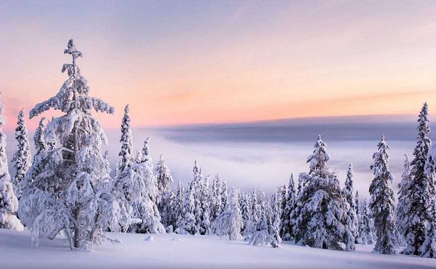 Finnish Lapland Winter Photography