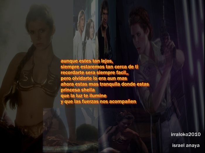 Dedicatoria A La Prinscesa Sheila