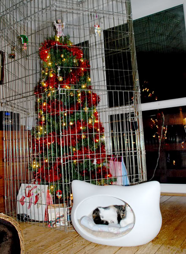 Christmas tree protected by a metal cage, with a cat peacefully sleeping nearby.