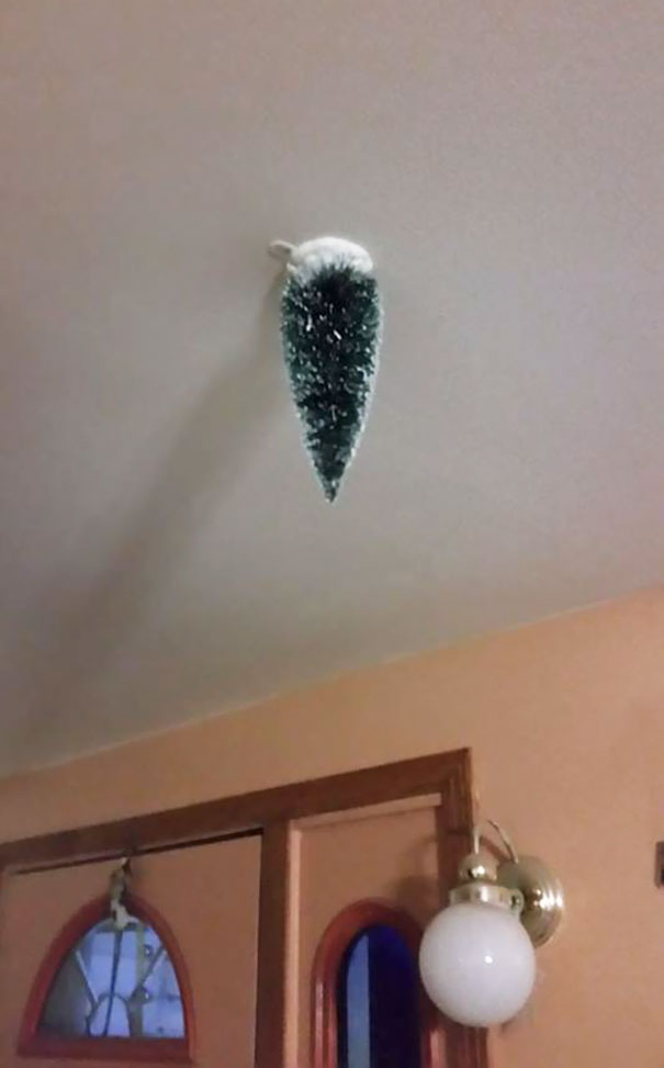 Upside-down Christmas tree hanging from ceiling to protect it from cats and dogs.