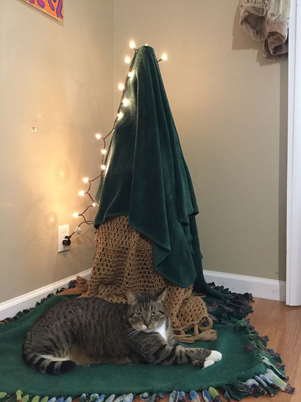 Christmas tree covered with blankets to protect from cats, with a cat lying on a green mat beside it.