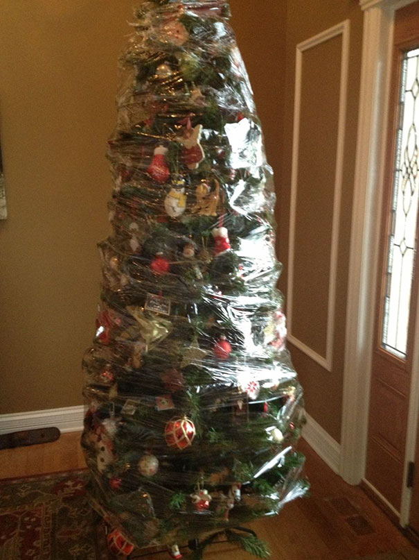 Christmas tree wrapped in plastic for protection from pets.
