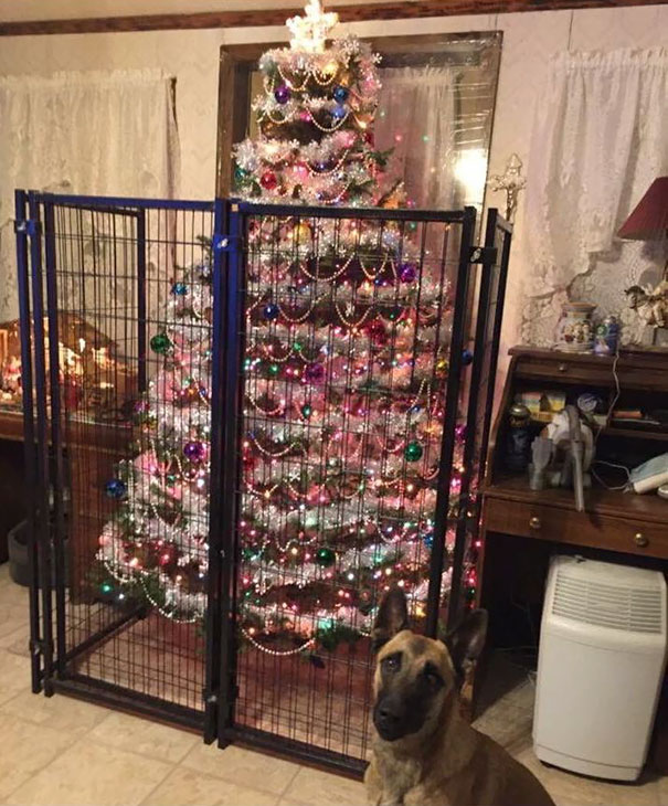 Christmas tree safely enclosed behind a pet barrier, with a curious dog sitting nearby.