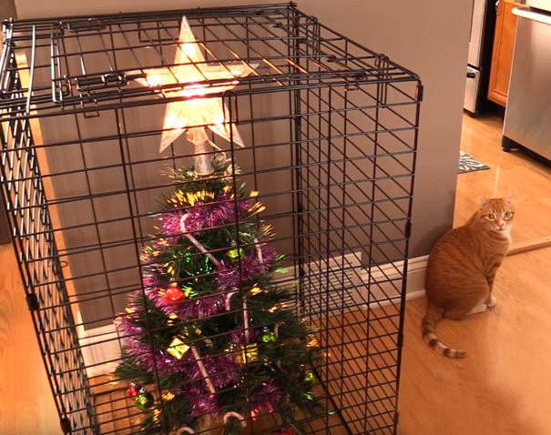 Cat sitting beside a Christmas tree protected in a cage to deter pets.
