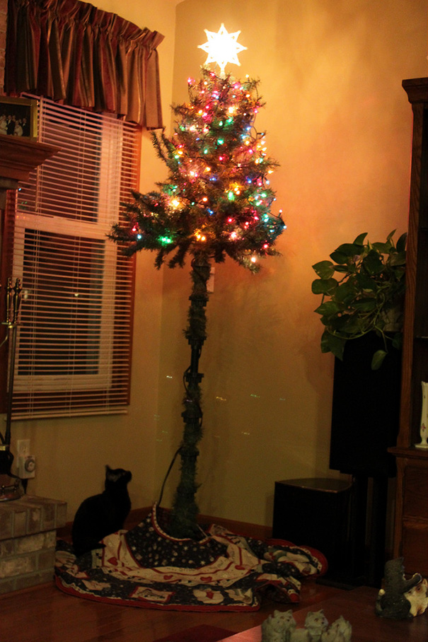 Christmas tree elevated to deter cats and dogs, decorated with colorful lights.
