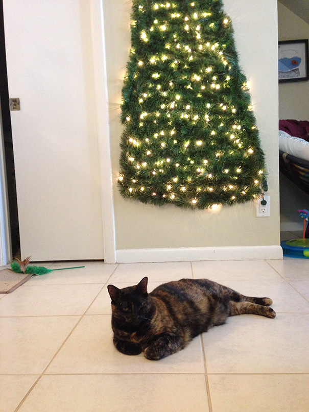 Wall-mounted Christmas tree with lights, cat resting below, showcasing a clever decoration idea to avoid pet interference.