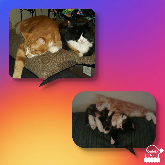 Brother And Sister Jake & Lizzie