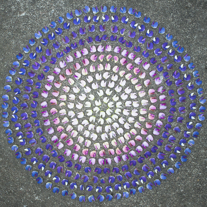 Reorganizing Little Things Found From Nearby Nature Turns Them Into Art