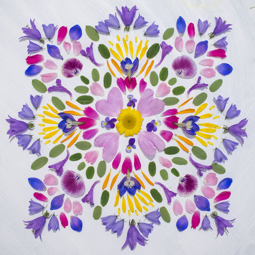 Reorganizing Little Things Found From Nearby Nature Turns Them Into Art